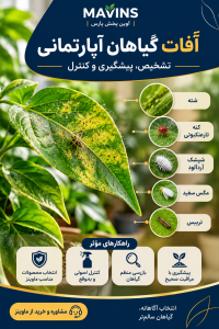 آفات گیاهان آپارتمانی؛ تشخیص، پیشگیری و کنترل با راهنمای محصولات ماوینز
